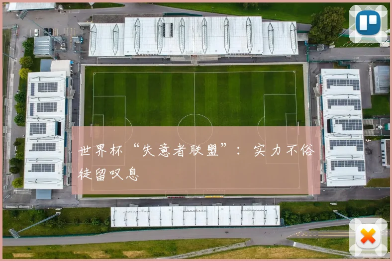 世界杯“失意者联盟”：实力不俗徒留叹息
