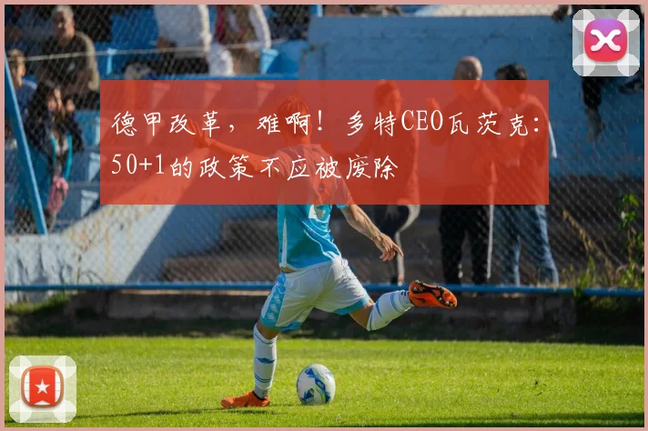 德甲改革，难啊！多特CEO瓦茨克：50+1的政策不应被废除