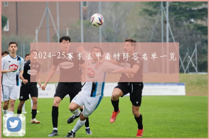 2024-25赛季法甲南特阵容名单一览