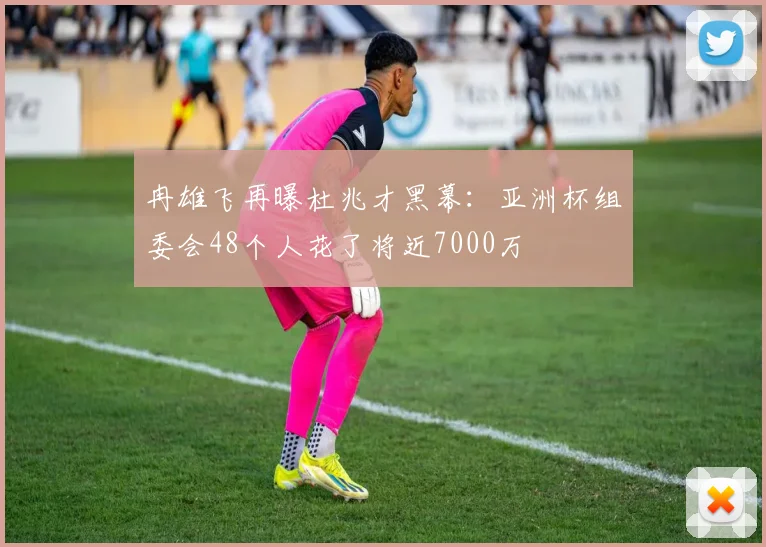 冉雄飞再曝杜兆才黑幕：亚洲杯组委会48个人花了将近7000万